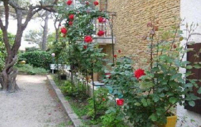 Location de vacances - Maison - Villa à Six-Fours-les-Plages