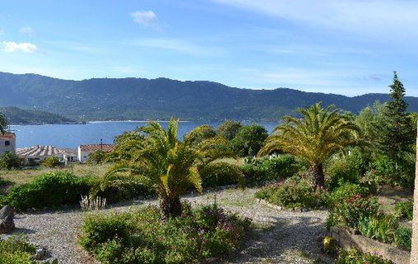 Location de vacances - Studio à Tiuccia