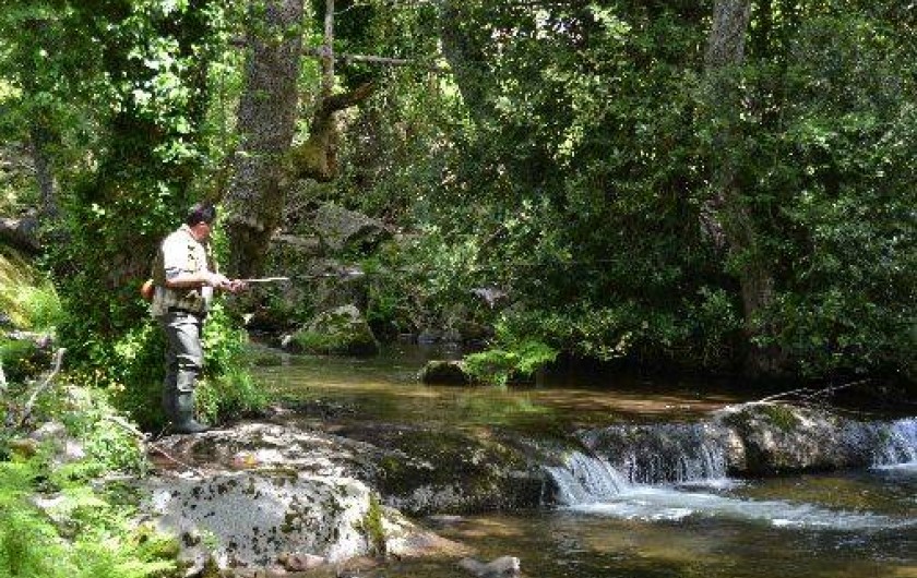 Location de vacances - Studio à Tiuccia