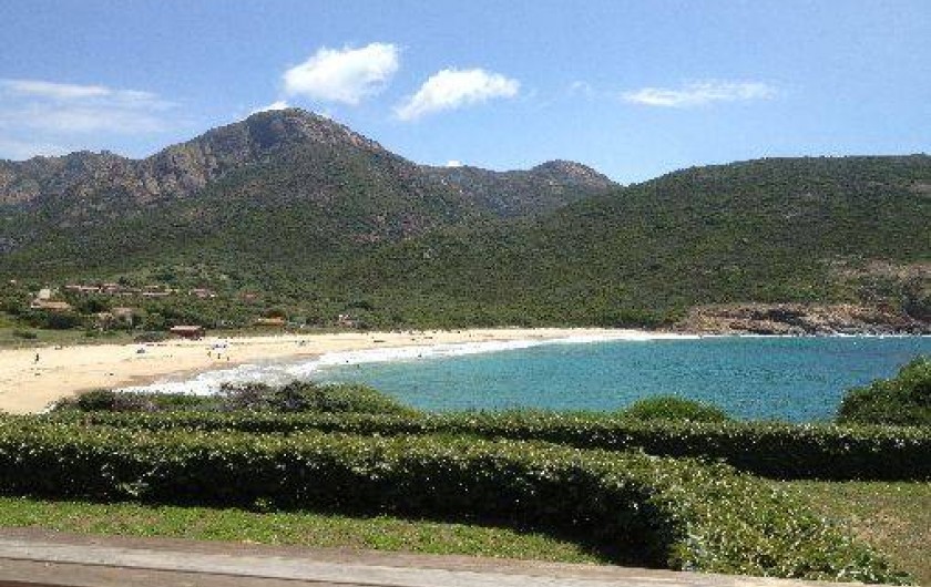 Location de vacances - Studio à Tiuccia