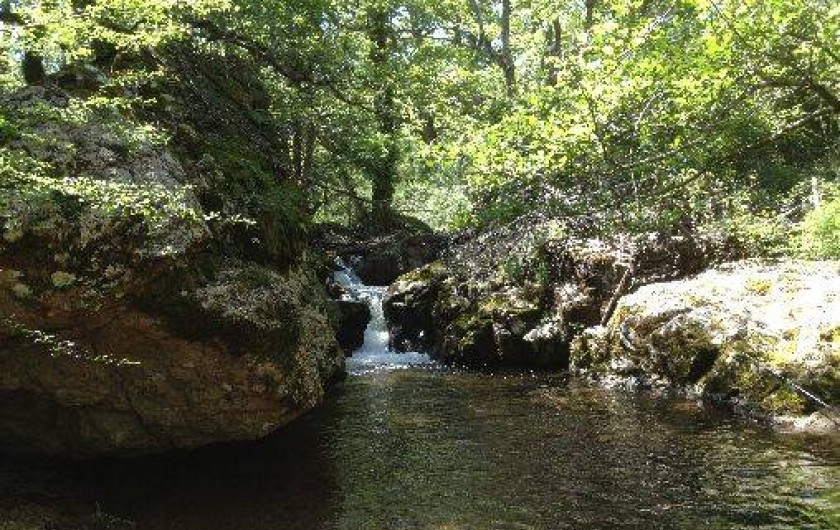 Location de vacances - Studio à Tiuccia