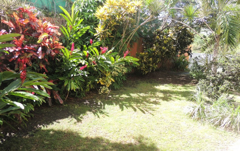 Location de vacances - Appartement à Le Gosier - Le jardin tropical privatif