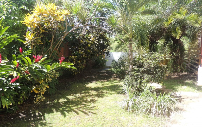Location de vacances - Appartement à Le Gosier - Le jardin tropical privatif