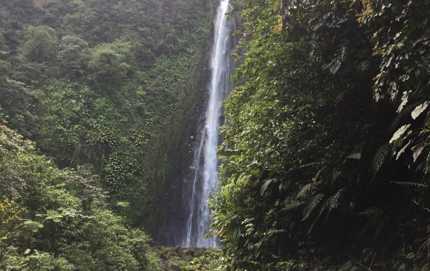 Location de vacances - Appartement à Le Gosier - Un accès rapide et facile à une grande variété de sites. (à 40 min)