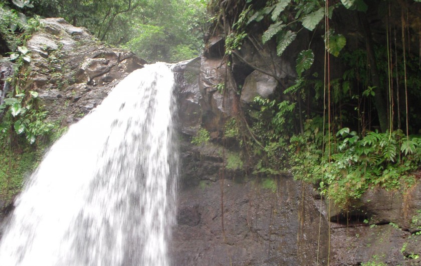 Location de vacances - Appartement à Le Gosier - Un accès rapide et facile à une grande variété de sites. (à 30 min)