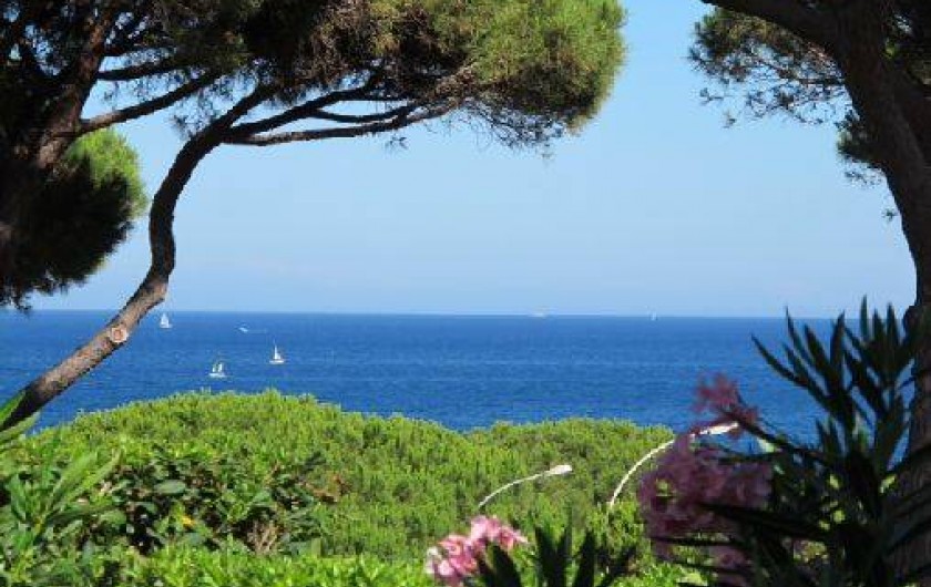 Location de vacances - Appartement à Sainte-Maxime