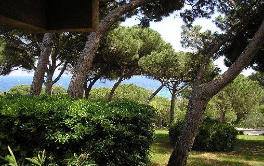 Location de vacances - Appartement à Sainte-Maxime