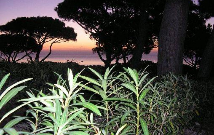 Location de vacances - Appartement à Sainte-Maxime