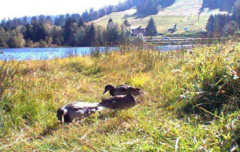 Location de vacances - Gîte à Tendon
