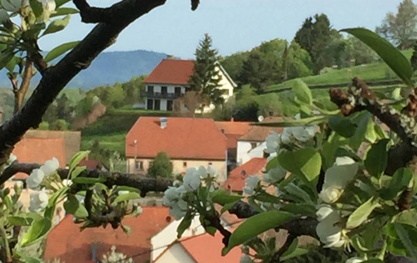 Location de vacances - Appartement à Belmont