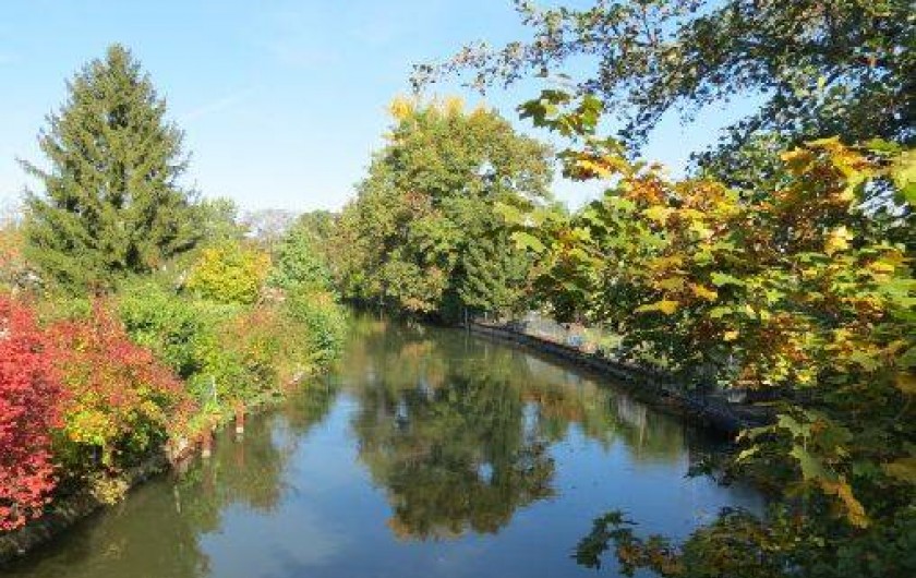 Location de vacances - Villa à Strasbourg - La rivière en automne