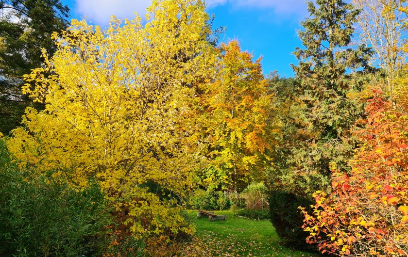 Location de vacances - Chalet à Weiterswiller