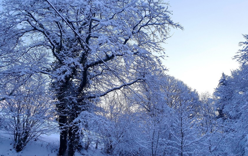 Location de vacances - Chalet à Weiterswiller