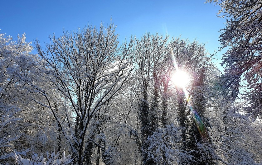 Location de vacances - Chalet à Weiterswiller
