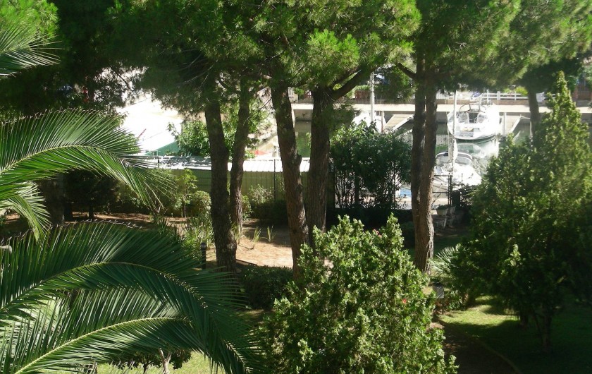 Location de vacances - Appartement à Agde - Jardin vu de l'appartement