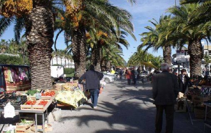 Location de vacances - Studio à Hyères