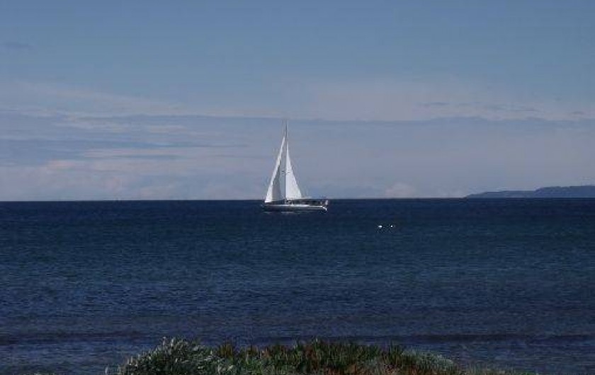 Location de vacances - Studio à Hyères