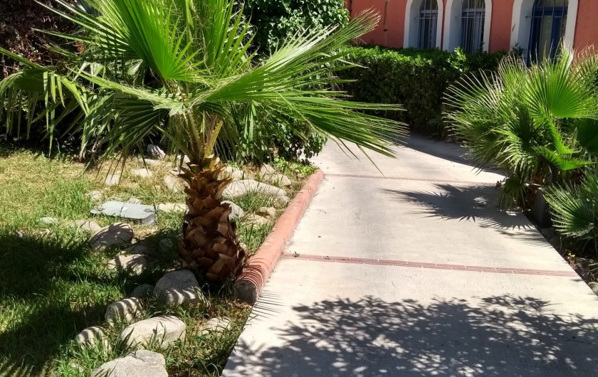 Location de vacances - Appartement à Canet-en-Roussillon