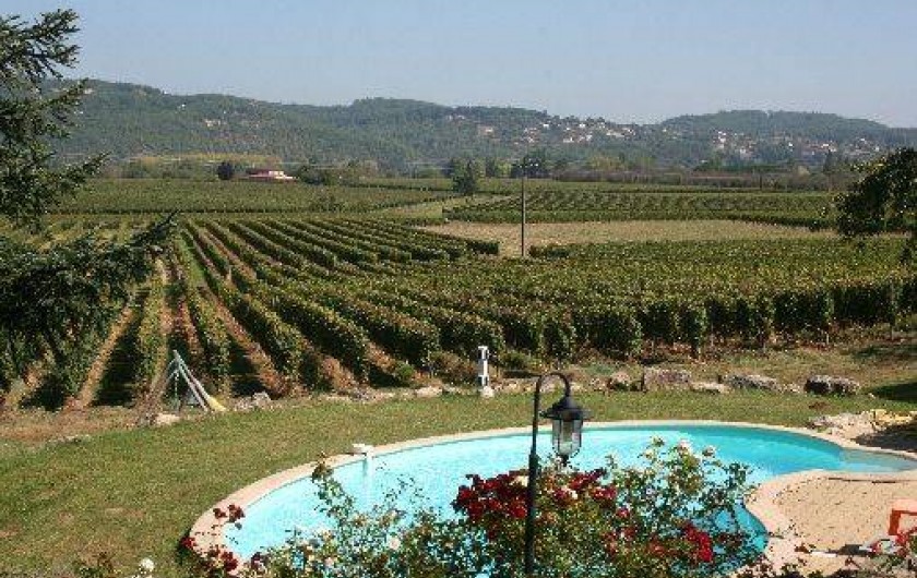 Location de vacances - Gîte à Puy-l'Évêque
