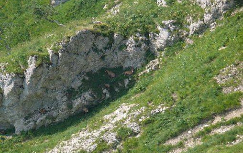 Location de vacances - Gîte à Les Rousses