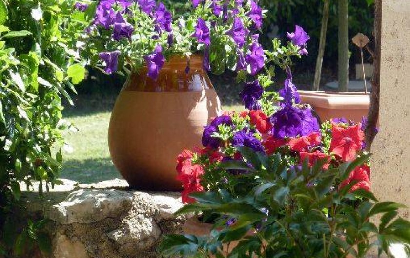 Location de vacances - Studio à Lourmarin