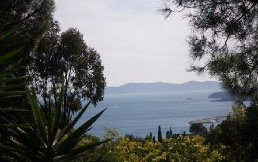 Location de vacances - Appartement à Le Lavandou