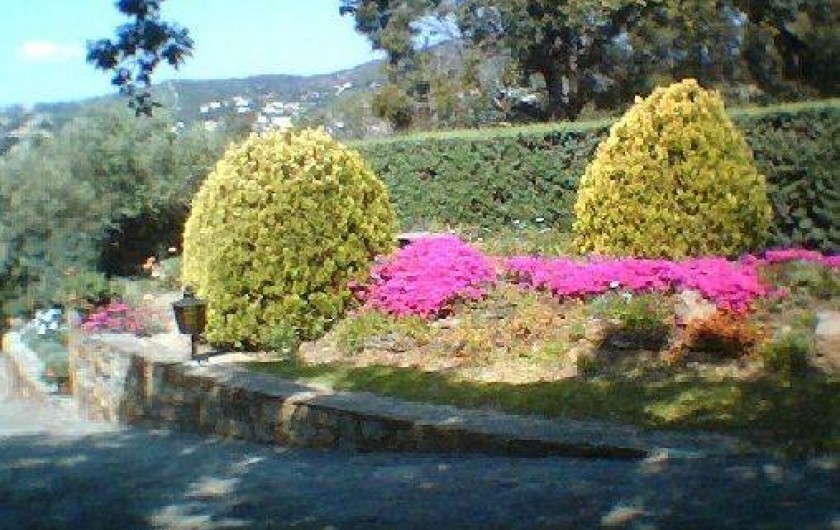 Location de vacances - Appartement à Le Lavandou