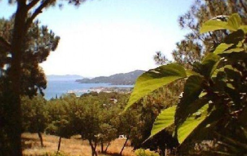 Location de vacances - Appartement à Le Lavandou
