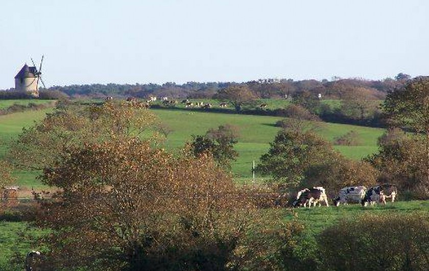 Location de vacances - Gîte à Arzal