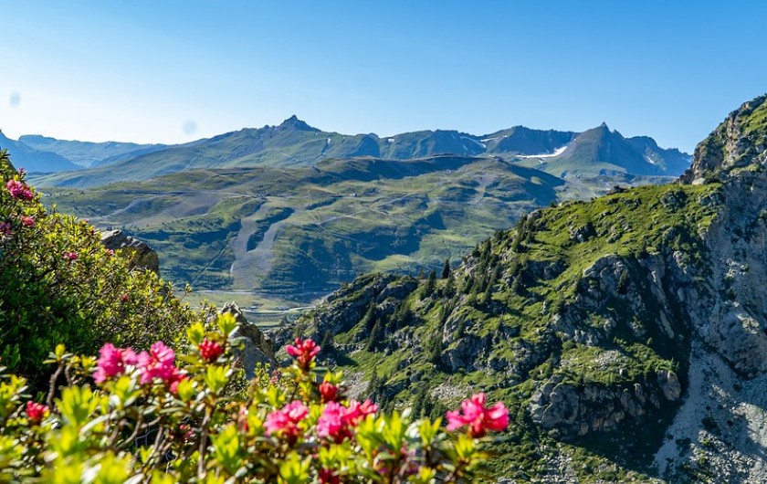 Location de vacances - Studio à La Rosière - La montagne en été