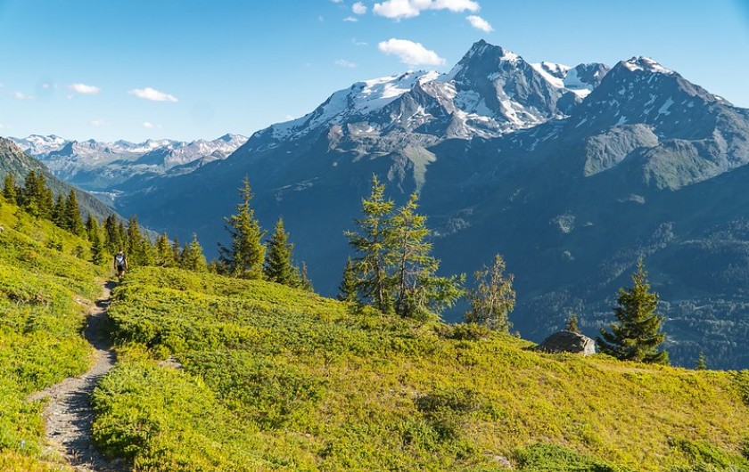 Location de vacances - Studio à La Rosière - Vue dégagée sur la montagne