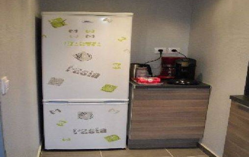 Location de vacances - Gîte à Metz - réfrigérateur-congélateur