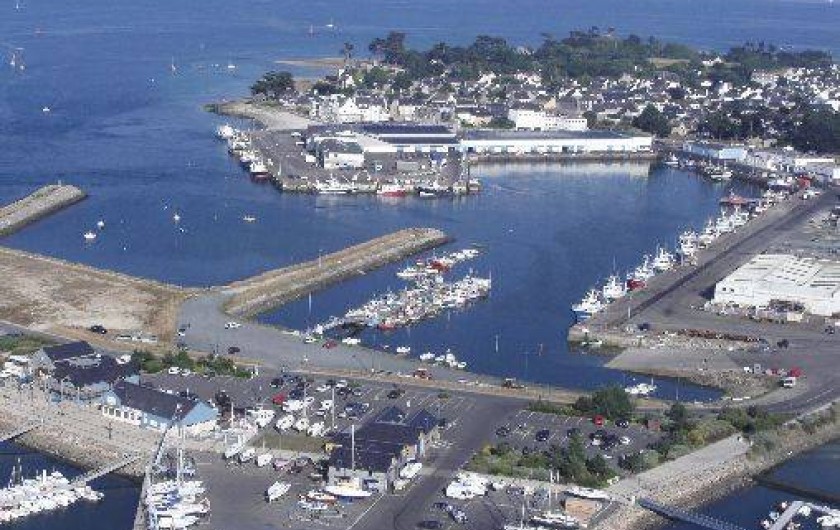 Location de vacances - Maison - Villa à Loctudy