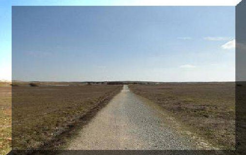 Location de vacances - Maison - Villa à Étel