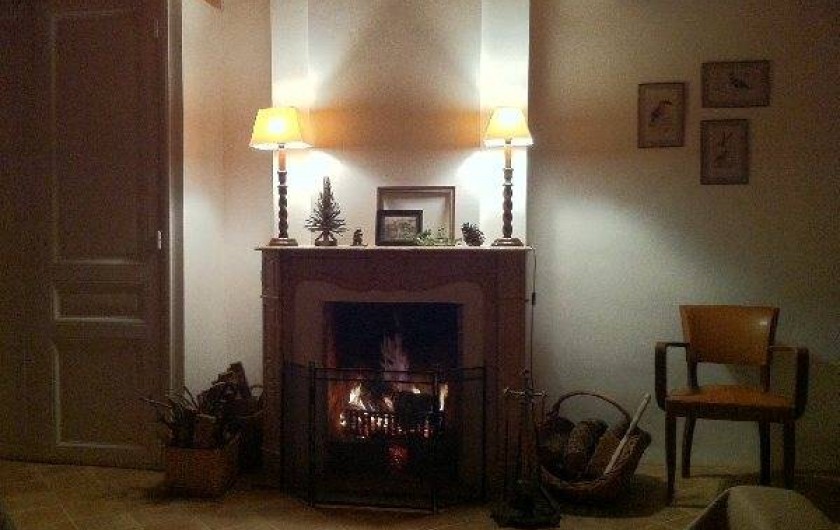 Location de vacances - Gîte à Coupiac - cheminée coin salon