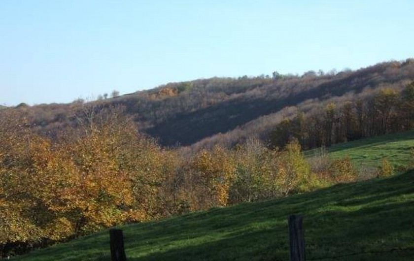Location de vacances - Gîte à Coupiac - vue