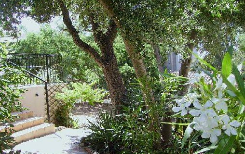 Location de vacances - Studio à Le Lavandou