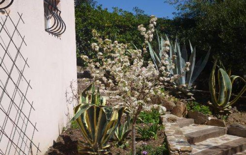 Location de vacances - Studio à Le Lavandou