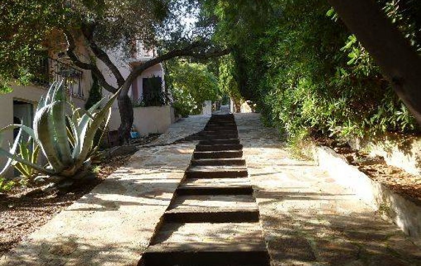 Location de vacances - Studio à Le Lavandou