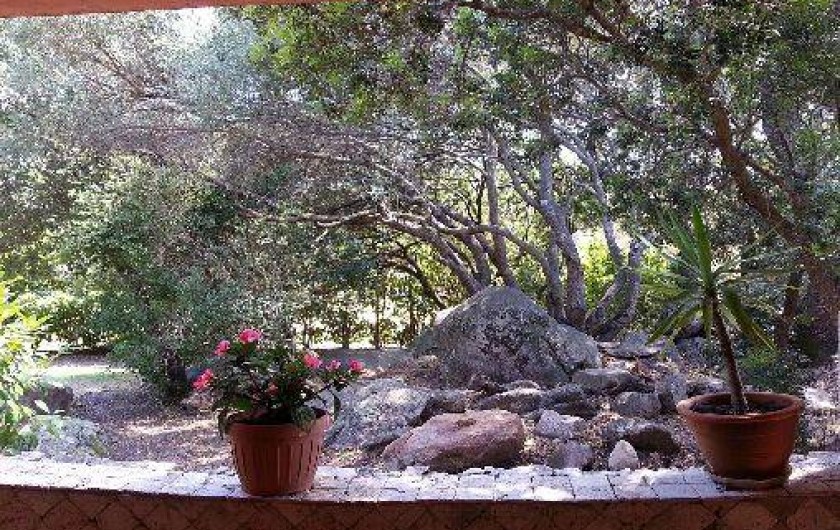 Location de vacances - Maison - Villa à Porto-Vecchio