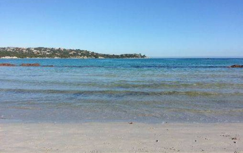 Location de vacances - Maison - Villa à Porto-Vecchio