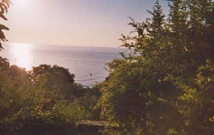 Location de vacances - Appartement à Brando