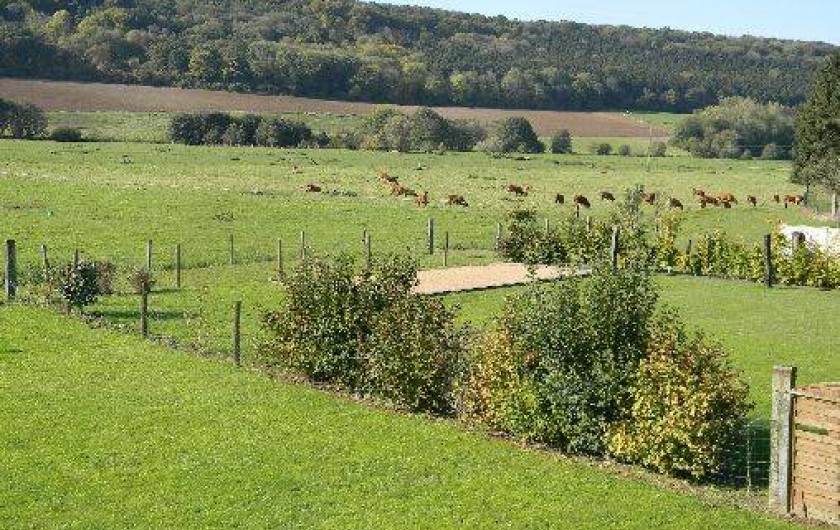 Location de vacances - Gîte à Torcy-le-Grand