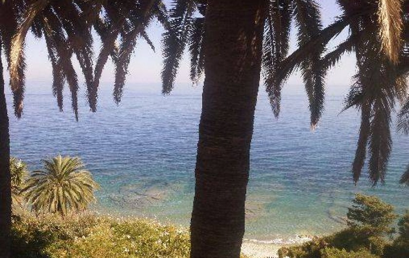 Location de vacances - Appartement à Pietranera