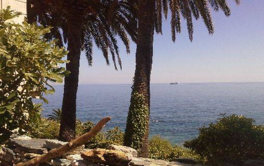 Location de vacances - Appartement à Pietranera