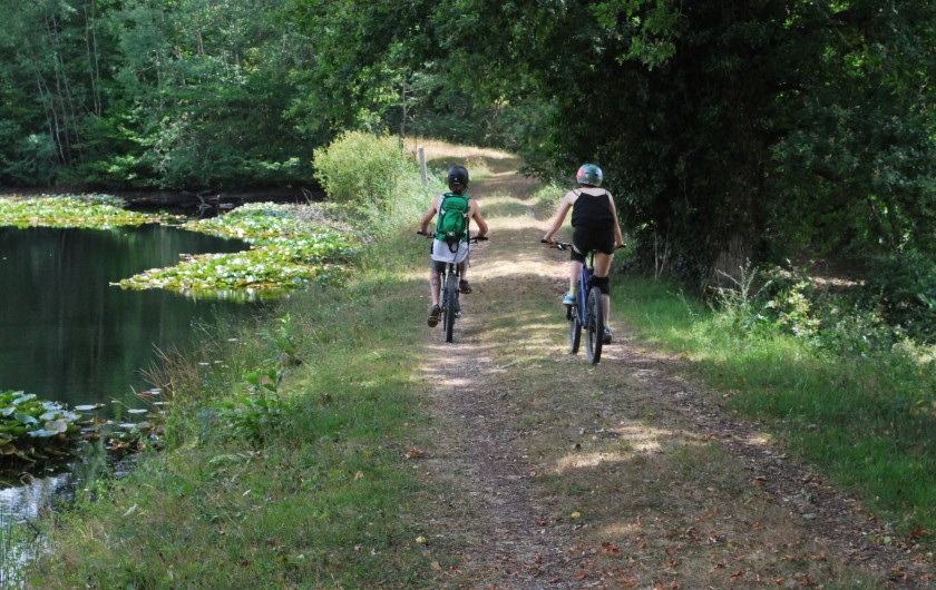 Location de vacances - Gîte à Eygurande-et-Gardedeuil - Randonnées Gîte de la Guirandole-Eygurande et Gardedeuil-Dordogne