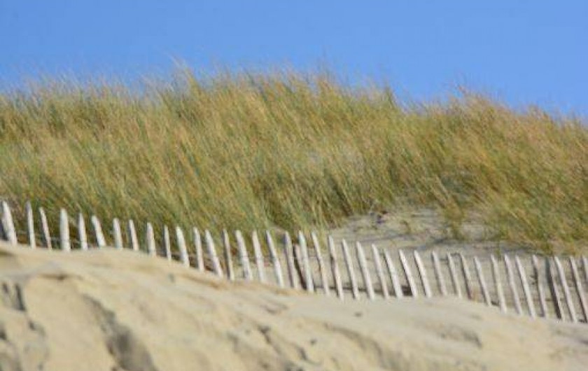 Location de vacances - Appartement à Fort-Mahon-Plage