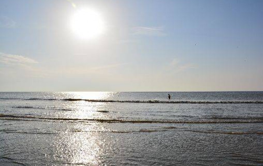 Location de vacances - Appartement à Fort-Mahon-Plage