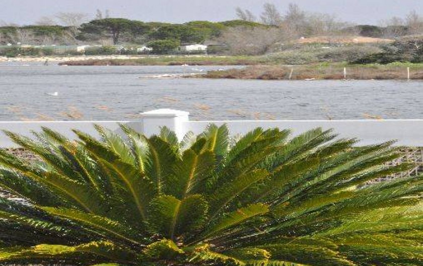 Location de vacances - Villa à Le Grau-du-Roi