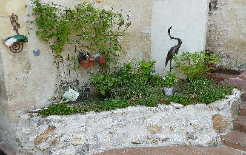 Location de vacances - Gîte à Rochecorbon